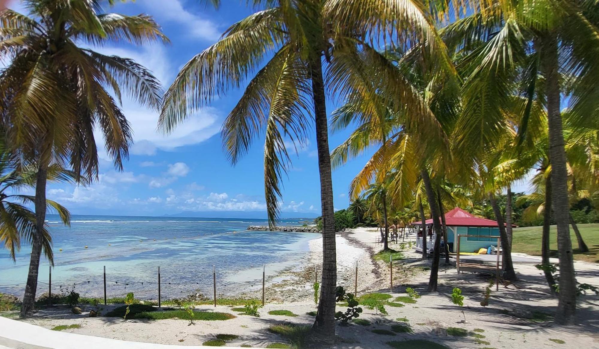 Studios Angoreva Vue Mer - Cote Plage Ou Jardin - Village Vacances - Sainte-Anne Guadeloupe Courcelles 外观 照片