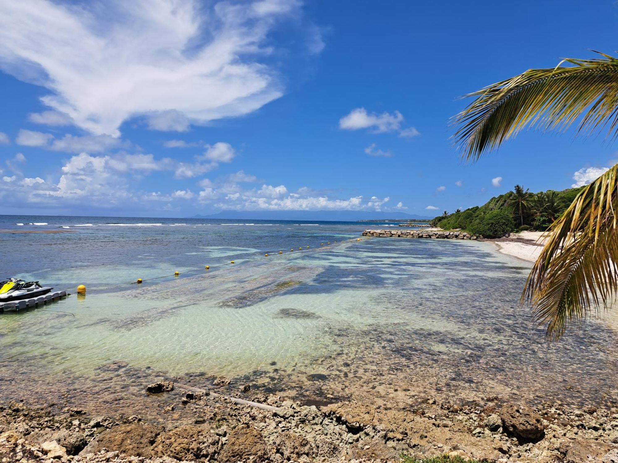 Studios Angoreva Vue Mer - Cote Plage Ou Jardin - Village Vacances - Sainte-Anne Guadeloupe Courcelles 外观 照片