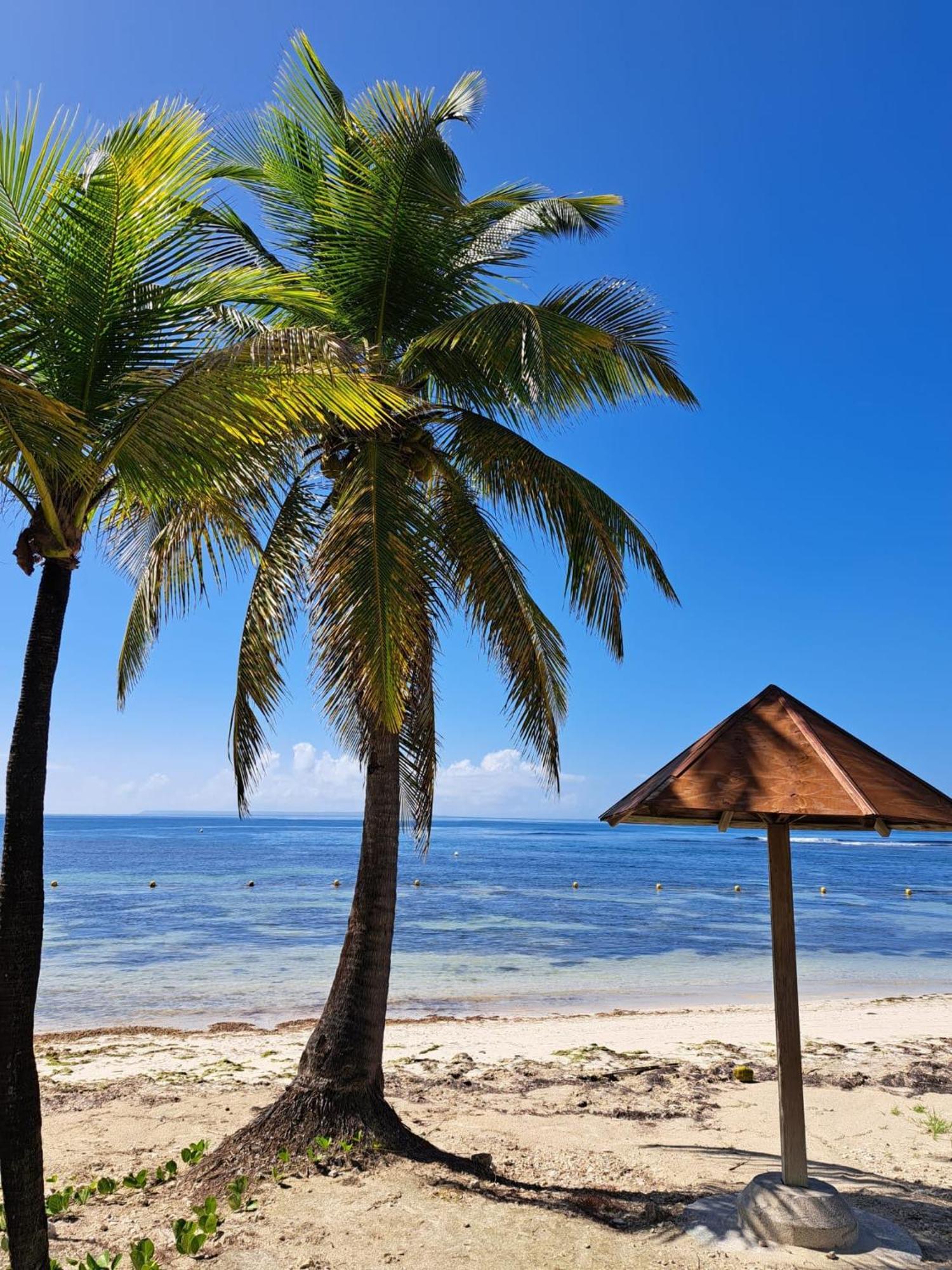 Studios Angoreva Vue Mer - Cote Plage Ou Jardin - Village Vacances - Sainte-Anne Guadeloupe Courcelles 外观 照片